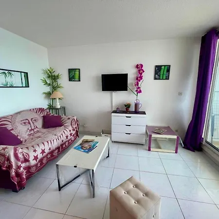 T2 Confortable, 4/5 Pers, Grazel, Parking Prive - Fr-1-796-86 Apartment *