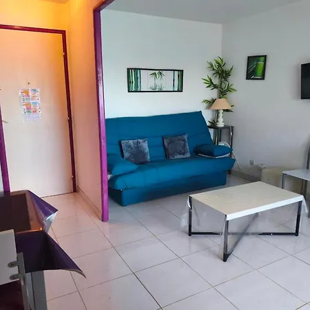 Appartement T2 Confortable, 4/5 Pers, Grazel, Parking Privé - Fr-1-796-86 *