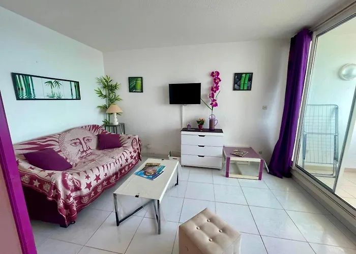 T2 Confortable, 4/5 Pers, Grazel, Parking Prive - Fr-1-796-86 Apartman *
