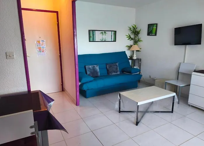 Apartmán T2 Confortable, 4/5 Pers, Grazel, Parking Prive - Fr-1-796-86 *